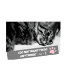 Cute My Cat  Nyago（個別スタンプ：8）