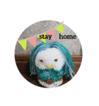 noコロナ（個別スタンプ：1）