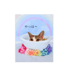 トムくんのはんこ4番（個別スタンプ：3）