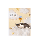 トムくんのはんこ4番（個別スタンプ：4）