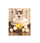 トムくんのはんこ4番（個別スタンプ：8）