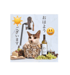 トムくんのはんこ4番（個別スタンプ：9）