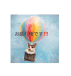 トムくんのはんこ4番（個別スタンプ：11）
