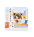 トムくんのはんこ4番（個別スタンプ：17）