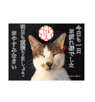 トムくんのはんこ4番（個別スタンプ：23）