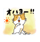 ラクガキ猫ちゃんスタンプ（個別スタンプ：1）