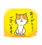 ラクガキ猫ちゃんスタンプ（個別スタンプ：5）