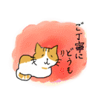 ラクガキ猫ちゃんスタンプ（個別スタンプ：10）