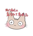 エモーショナルねこ（個別スタンプ：16）