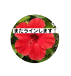 manabu4502（個別スタンプ：3）