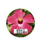 manabu4502（個別スタンプ：4）