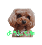 エル(191)（個別スタンプ：3）