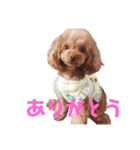 エル(191)（個別スタンプ：5）