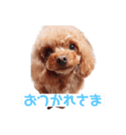 エル(191)（個別スタンプ：7）