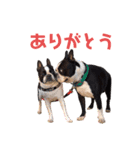 おにぎり(179)（個別スタンプ：4）