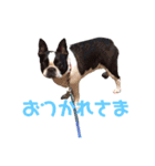 おにぎり(179)（個別スタンプ：6）