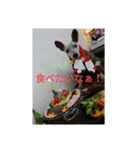 ポチのスタンプbyえみポチ（個別スタンプ：14）
