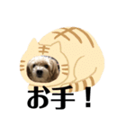 ハチオくん！（個別スタンプ：8）