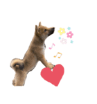 子犬の愛芽ちゃん（個別スタンプ：1）