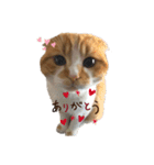 すこてぃっっっしゅ（個別スタンプ：1）