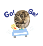 玄くんと一緒（個別スタンプ：6）