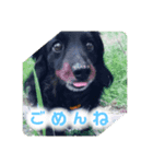 ココ♡ナッツ♡パル（個別スタンプ：1）