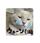 ココ♡ナッツ♡パル（個別スタンプ：2）