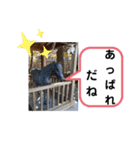 たけしのスタンプ その15（個別スタンプ：5）