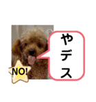たけしのスタンプ その15（個別スタンプ：9）
