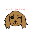 ダックスくん❣️（個別スタンプ：1）