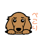 ダックスくん❣️（個別スタンプ：2）