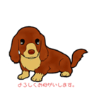ダックスくん❣️（個別スタンプ：3）