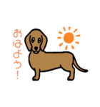 ダックスくん❣️（個別スタンプ：4）