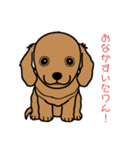 ダックスくん❣️（個別スタンプ：6）