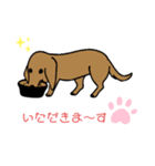 ダックスくん❣️（個別スタンプ：7）
