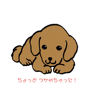 ダックスくん❣️（個別スタンプ：8）