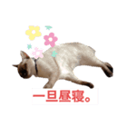 うかりちゃんのスタンプ（個別スタンプ：3）