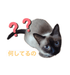 うかりちゃんのスタンプ（個別スタンプ：5）