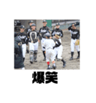 野球部○○ポーズついでにY（個別スタンプ：4）