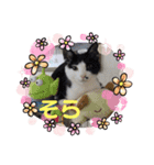 モコイヴそら12（個別スタンプ：2）