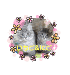 モコイヴそら12（個別スタンプ：3）