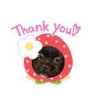 choco's life stamp（個別スタンプ：5）