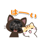 choco's life stamp（個別スタンプ：6）