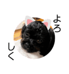 choco's life stamp（個別スタンプ：8）