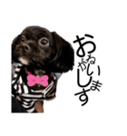 choco's life stamp（個別スタンプ：11）