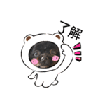 choco's life stamp（個別スタンプ：14）