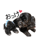 choco's life stamp（個別スタンプ：17）