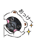 choco's life stamp（個別スタンプ：18）