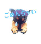ミニピンCoCo（個別スタンプ：8）