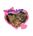 ドンノブボム⑦（個別スタンプ：2）